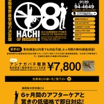 ハチオブミッション8(HACHI OF MISSION 8)