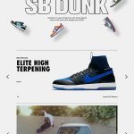 15 Years of Nike SB Dunk. Nike.com