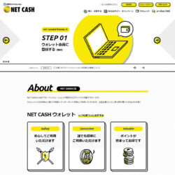 NET CASH