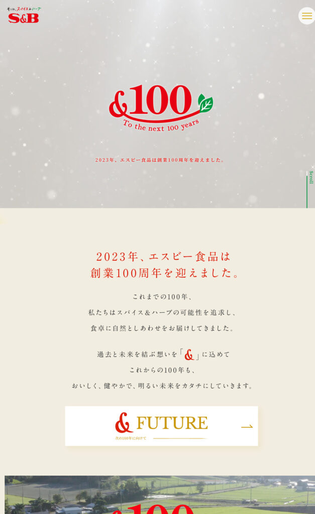 ライジングジングページ Shin-ei/Jax - 8Tr Fuzz Wah - Page 3 - freestompboxes.org