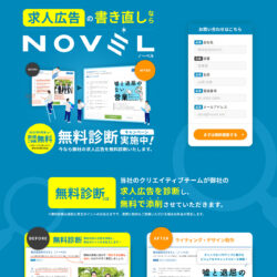 NOVEL