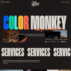 Color Monkey