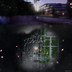 クラッシィハウス京都御苑ザ・テラス