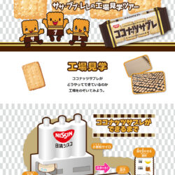 密着！ココナッツサブレができるまで・・・｜日清シスコ